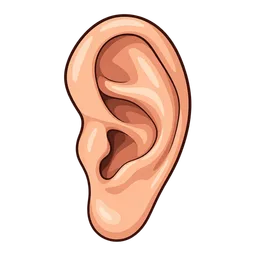 Ear