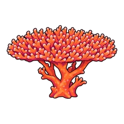 Table Coral