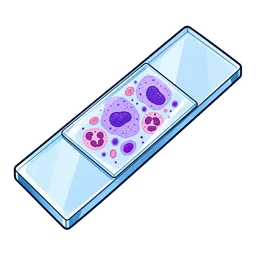 Cell Slide