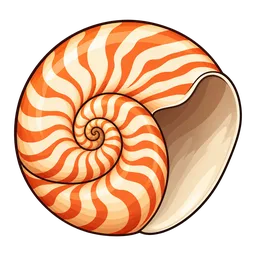 Nautilus