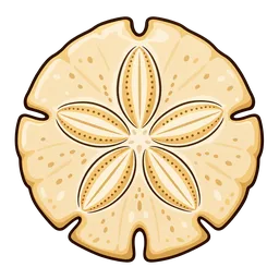 Sand Dollar
