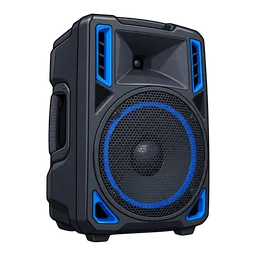 PA Speaker